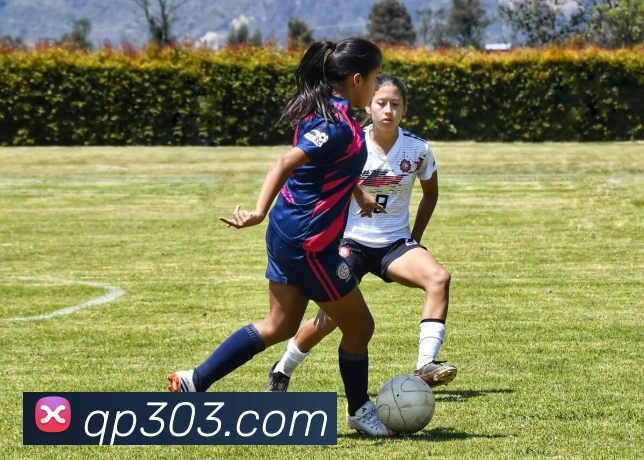 棋牌平台APP 封面图